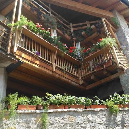 La Cort Di Nonna Rosa Bed & Breakfast Mori Ngoại thất bức ảnh